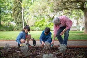Tips for å lage en flott hage