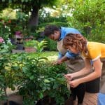 Gjør hagen din mer miljøvennlig